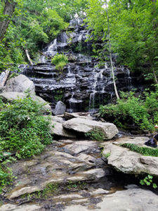 A picture of Issaqueena Falls with The Cason Group